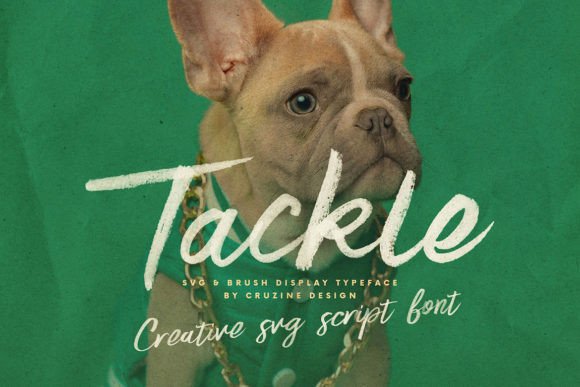 Download Tackle - Premium Resources